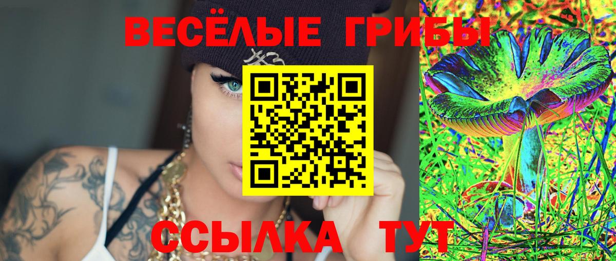 Псилоцибиновые грибы Psilocybine cubensis Горно-Алтайск