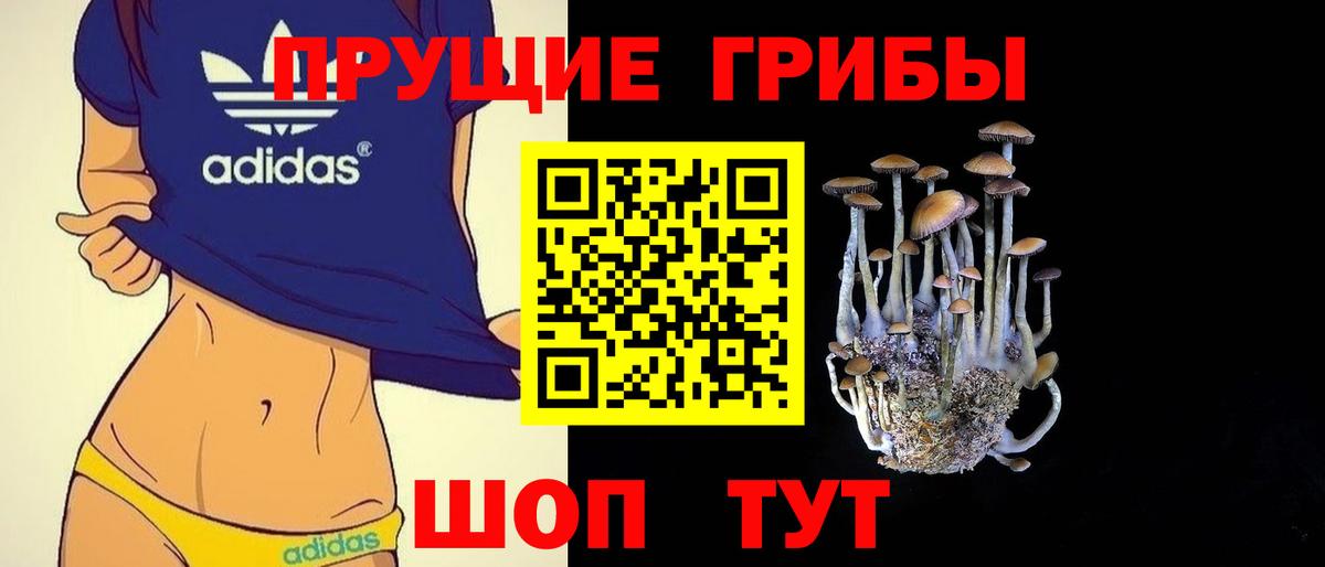 купить наркотик  Галлюциногенные грибы мухоморы  Вход с VPN  Горно-Алтайск 